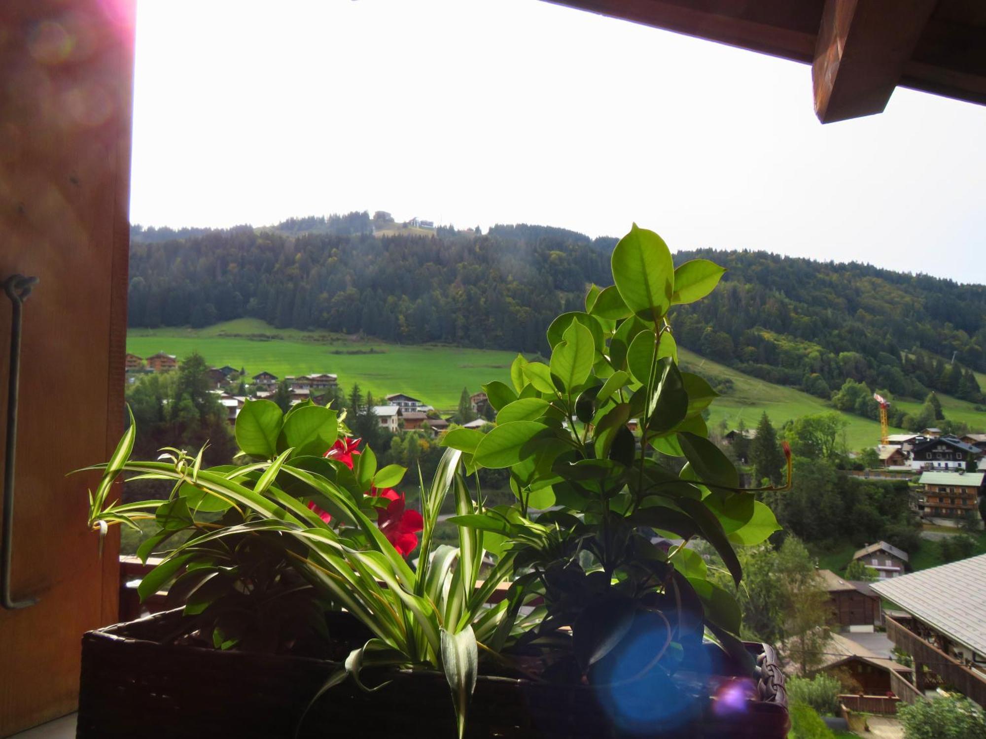Chalet Chez Gaby 2 - Vue Imprenable Au Calme - Proche Du Centre Morzine Bagian luar foto